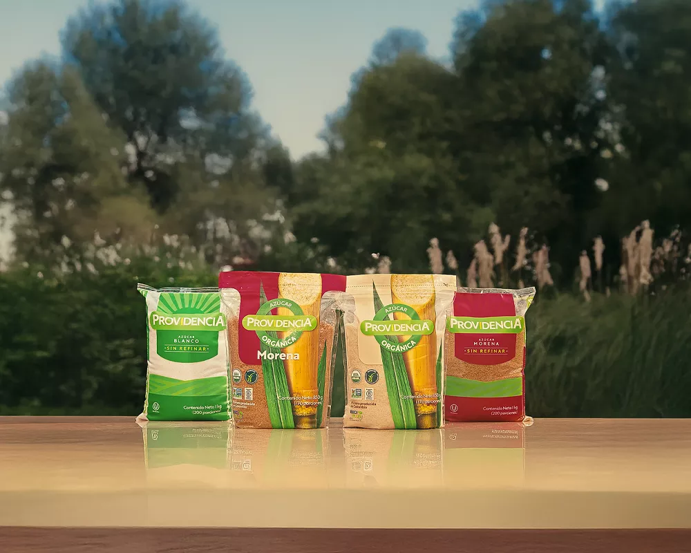 Cuatro razones para usar azúcar en tus comidas