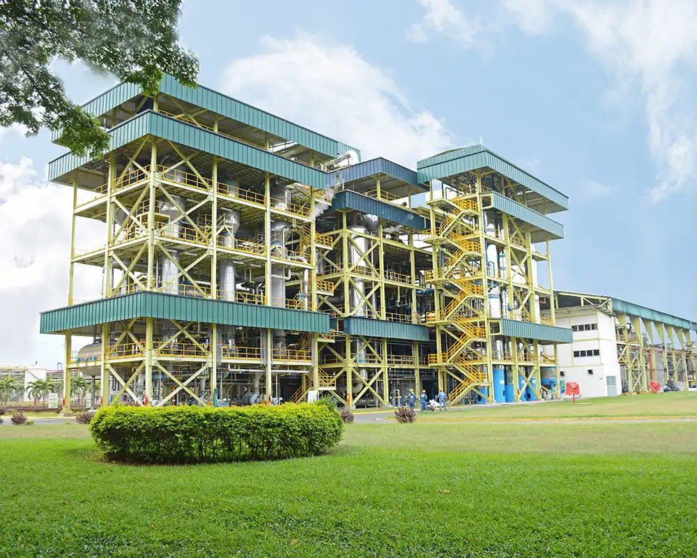 Providencia: único ingenio B Certificado