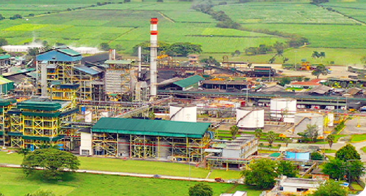 Discover our history