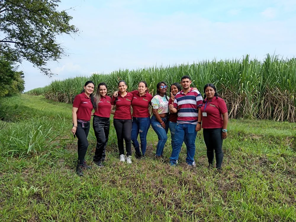 Talento que impulsa el progreso