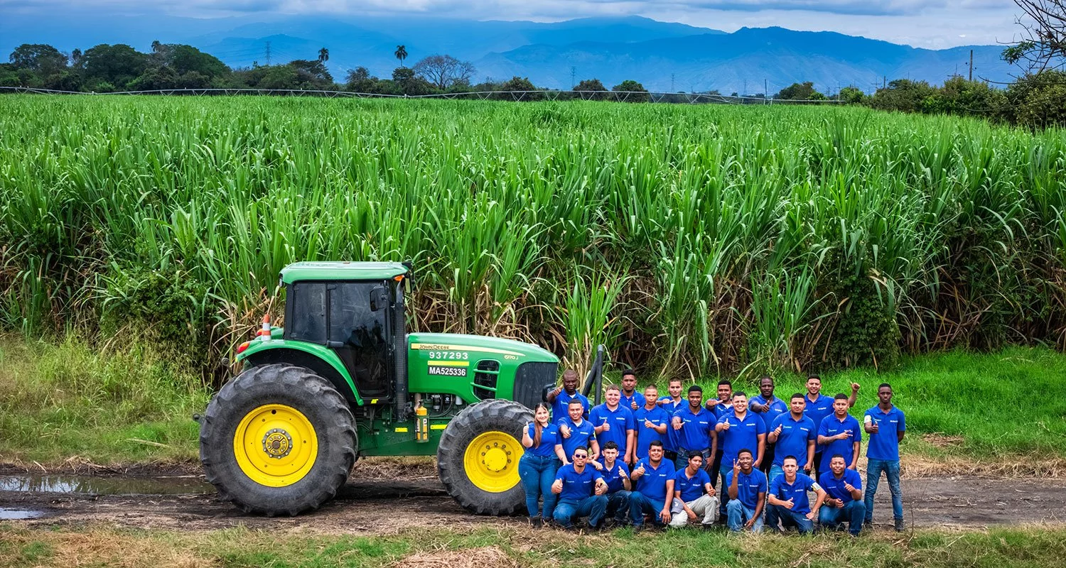 Formación Providencia